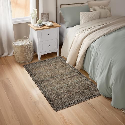 Ruaruarug Washable Small Area Rug 2×3 for Entryway, Soft, Vintage Brown - Image 7
