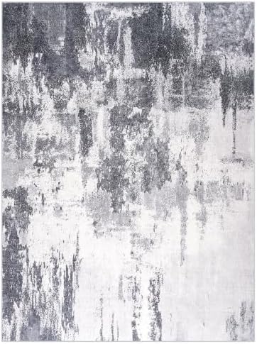 Entrance Rugs Indoor 2x3 Dark Grey Entry Rug Washable Abstract Small Area Rug Non-Slip Low Pile Throw Rugs for Entryway, Kitchen Floor, Front Door Indoor Door Mat, Bathroom, Bedroom Bedside - Image 7