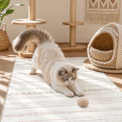 Nakagishi Boho 2x3 Washable Area Rug Non Slip Carpet for Entryway Beige - Image 6