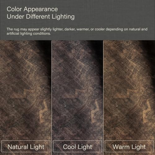 Washable 2x4 Entry Rug for Entryway, Bathroom & Kitchen, Dark Taupe Brown Low Pile Non-Slip Front Door Mat, Vintage Farmhouse Distressed Geometric Accent Rug, Stain Resistant, Easy to Clean - Image 6