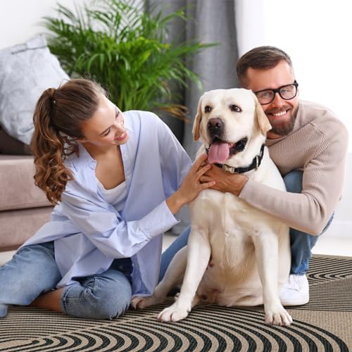 Lahome Modern Rainbow Easy Jute 6x9 Rug, Large Living Room Carpet Washable Outdoor Patio Dining Room Rug, Non Slip Indoor Outdoor Carpet for Backyard Deck Office Decor - Image 6