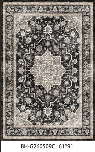Washable Runner Rug 2x3: Entryway Rug Door Mat Non Slip Runner Rug Low Pile by TOPRUUG