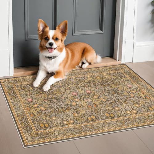 Brown Washable Entry Rug - Front Door Throw Rugs Indoor, Non-Slip Bathroom Small Rugs, Vintage Floral Thin Rug for Kitchen, Boho Earthy Entryway Décor (2x3 Gold Brown) - Image 6