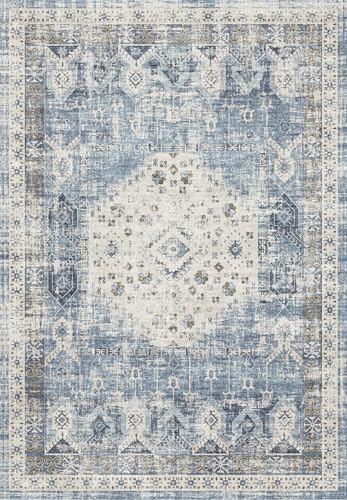 Living Room Area Rug 5x6: Vintage Washable Non Slip Carpet for Bedroom Kitchen Office Soft Stain Reisstant Vintgae Rugs for Bathroom Ultra -Thin Home Decor Floor Mat 5x6 Aqua Blue by RUUGME