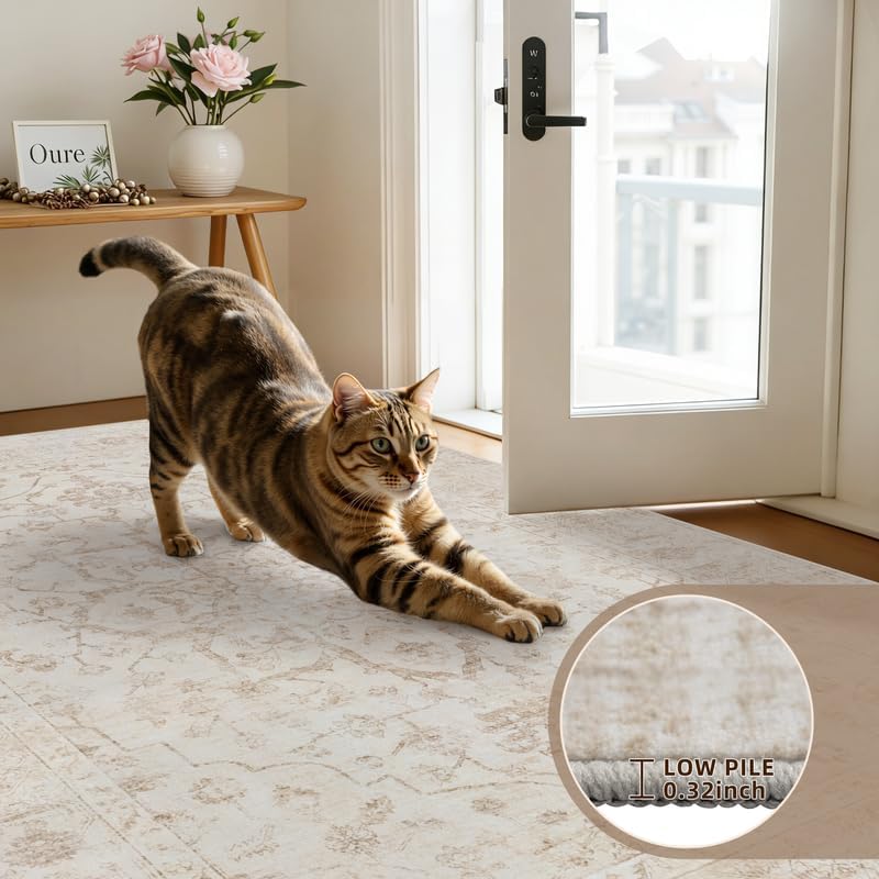 5x7 Area Rugs Living Room: Bedroom Washable Carpet Warm Beige - Image 7