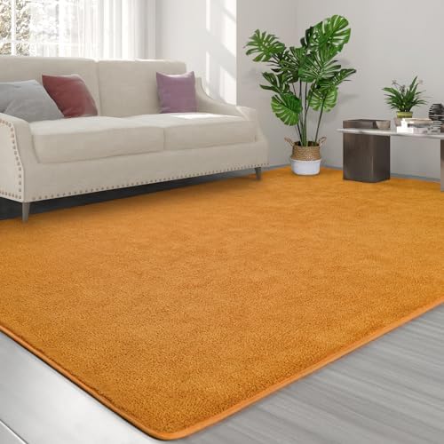 FlyDOIT Area Rugs for Bedroom Living Room, 5x8 Orange Super Soft Comfy Thickened Memory-Foam Indoor Carpets, Modern Aesthetic Minimalist Carpet for Boys Girls Adults Apartment Nursery Home Décor - Image 3
