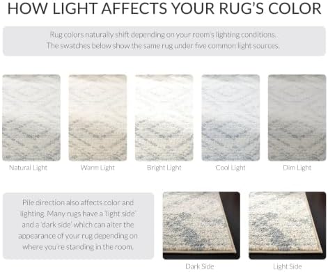 SAFAVIEH Adirondack Square Rug 12', Boho Ivory & Light Blue ADR131T - Image 2