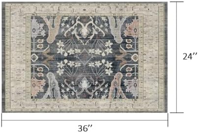 Entryway Rug 2X3 Small Rugs Floral Rug - Image 2