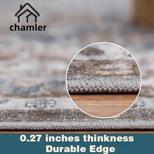 chamler Washable Area Rug 9x12 Boho Chic Medallion Distressed Design Non-Shedding Easy Care Ideal for High Traffic Areas in Rug for Living Room Bedroom Office Coffee Table Large Carpet - Image 3