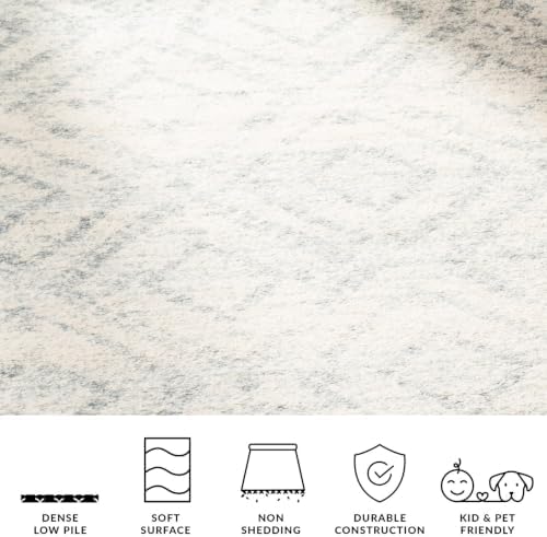 SAFAVIEH Adirondack Square Rug 12', Boho Ivory & Light Blue ADR131T - Image 5
