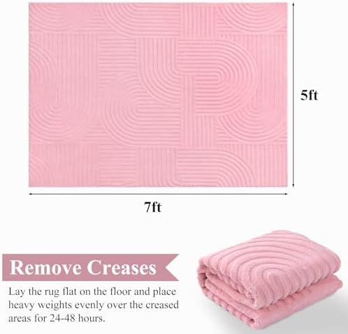 Pauwer 5x7 Area Rugs for Living Room, Modern Non Slip Washable Rug, Pink - Image 2