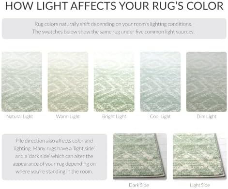 SAFAVIEH Adirondack Square Rug 4', Boho Green & Ivory ADR131Y - Image 3