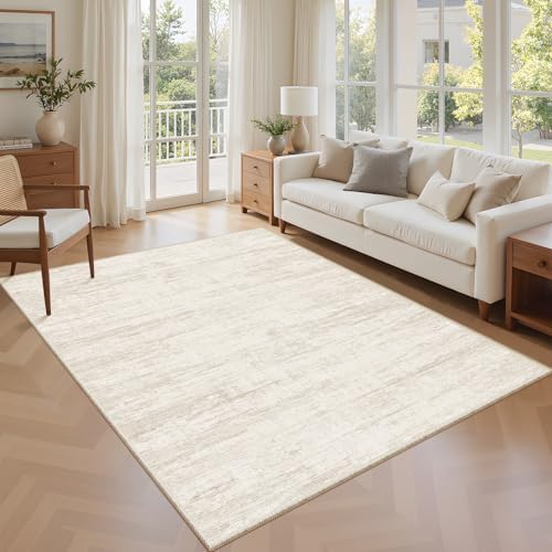 Washbale Rugs 3x5 Ultra Soft Area Rug, Non Slip Indoor Entryway Rugs, Stain Resistant Area Rugs for Living Room Dining Bedroom，Modern Abstract Home Decor Small Rug by Unknown
