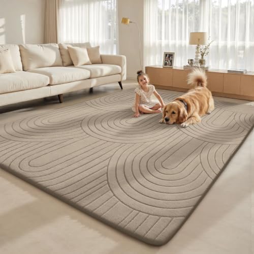 Sour Lemon 8x10 Area Rugs for Living Room Bedroom, Large Carpet Rug Taupe - Image 6