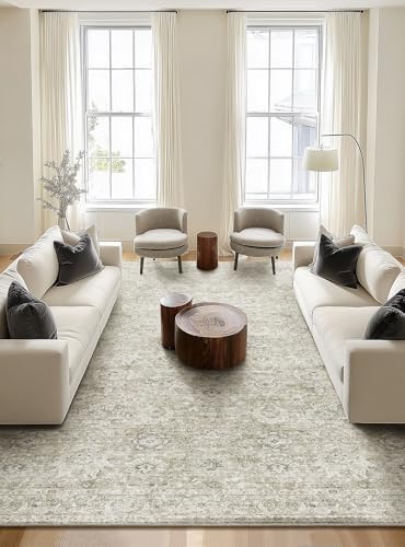 Machine Washable Rugs for Living Room: 10x14 Area Rugs for Bedroom by NoiFamo