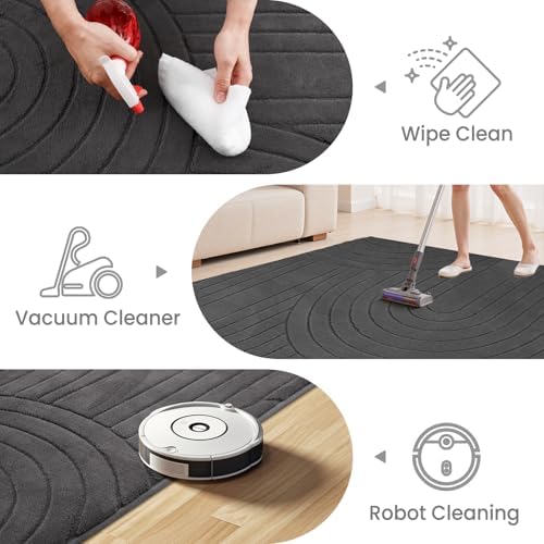 Sour Lemon 8x10 Area Rugs for Living Room Bedroom, Large Carpet Grey Rug - Image 3