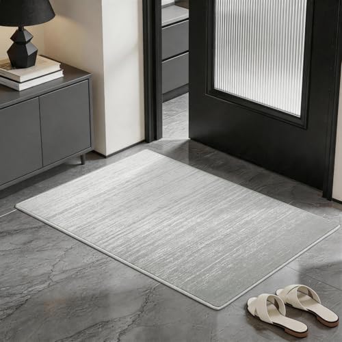 LIANLAM 2x3 Silver Infused Self-Cleaning Rug for Kitchen (2x3,Silver) by LIANLAM