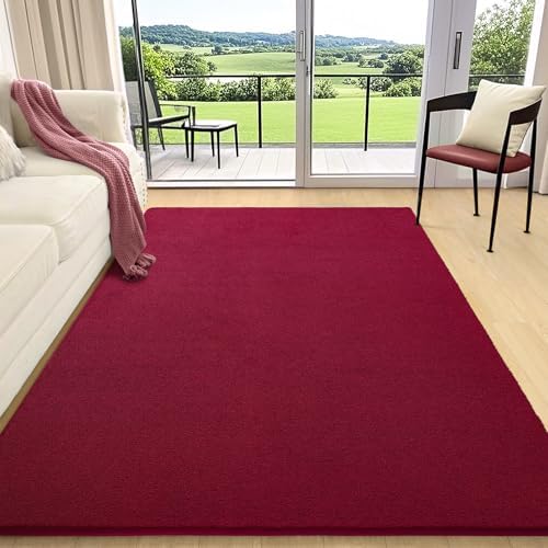 AROGAN 5x7 Area Rugs for Living Room Non Slip Dorm Bedroom Rug, Wine Red - Image 3