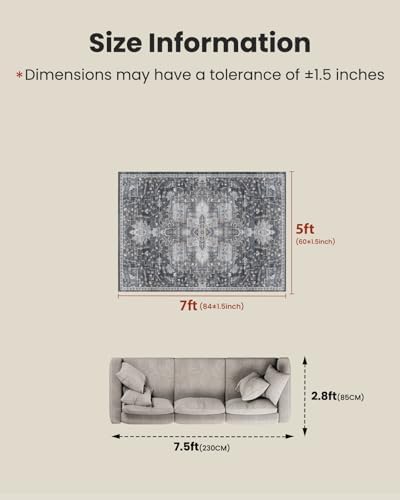 Amada 5x7 Washable Area Rug for Living Room, Gray/Gold, Vintage Pattern - Image 2