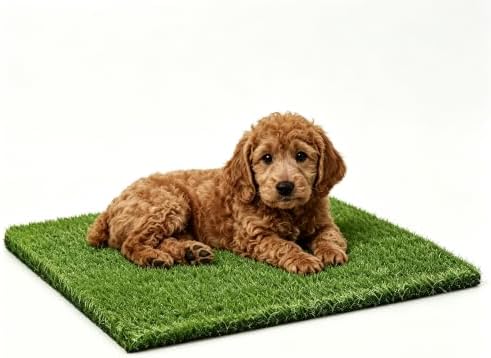Artificial Grass Pee Pads for Dogs Potty, 26"x30" Reusable Grass Patch, Fake Grass Mat for Balcony/Indoor/Outdoor, Washable Pet Training Turf with Drainage Holes, Easy to Clean by CooZero