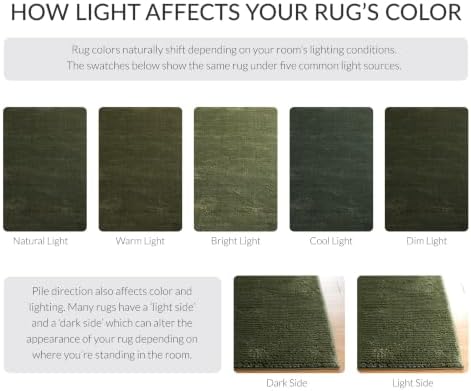 SAFAVIEH Revive Area Rug 2'7"x5', Modern Green REV102Y - Image 2