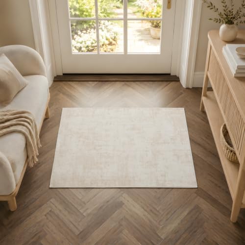 2x3 Area Rug Washable Abstract: Non Slip Throw Rugs for Entryway by Unknown