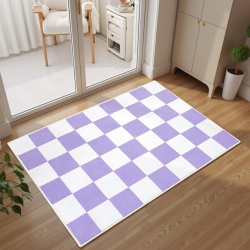 Terrug Purple and White Checkered Rug for Entryway, 2x3 Small Area Rugs by TerrugHomeDecor