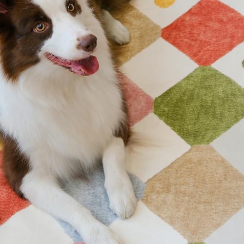 jinchan 8x10 Kids Playroom Rug Washable Colorful Classroom Nursery Play Mat - Image 5