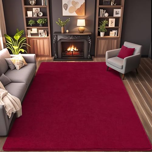 AROGAN 5x7 Area Rugs for Living Room Non Slip Dorm Bedroom Rug, Wine Red - Image 4