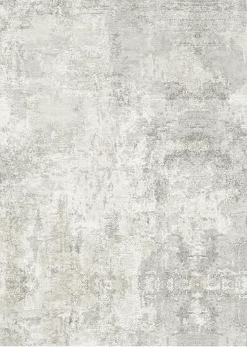 Modern Abstract Area Rug 3x4: Soft Indoor Living Room Rug Non Slip Stain Resistant Soft Foldable Floor Carpet for Kitchen Entryway Bathroom Home Decor 3x4 Beige Gray by YOUFORTONG