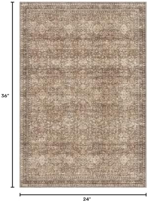 Sasttie 2x3 Area Rugs, Ultra-Soft Washable Rug for Living Room, Dark Brown - Image 2