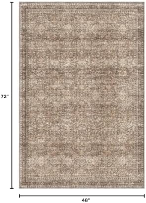 Sasttie 4x6 Area Rugs, Ultra-Soft Washable Rug for Living Room, Dark Brown - Image 2