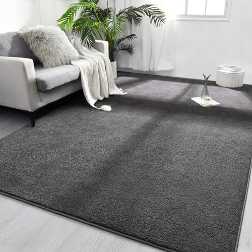 FlyDOIT Area Rugs for Bedroom Living Room, 6x9 Dark Grey Super Soft Comfy Thickened Memory-Foam Indoor Carpets, Modern Aesthetic Minimalist Carpet for Boys Girls Adults Apartment Nursery Home Décor by FlyDOIT