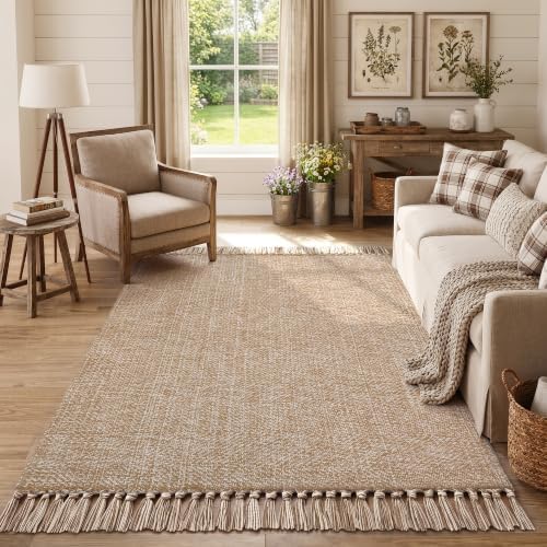 Collive 4' x 6' Hand Woven Bedroom Area Rug, Boho Indoor Outdoor Rugs - Image 6