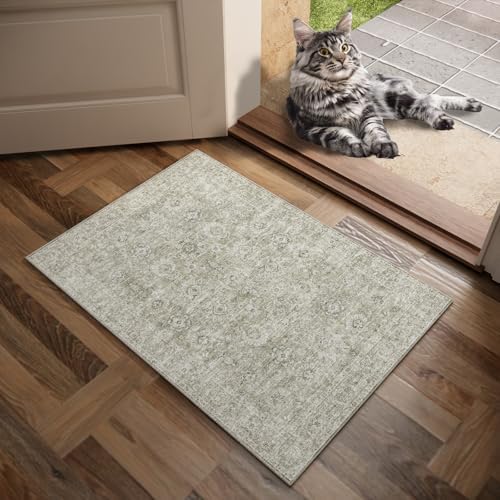Washable Small Area Rugs for Entryway: 2x3 Door Mat Indoor Entrance - Image 2