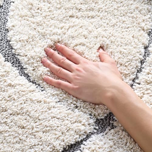 SAFAVIEH Florida Shag Rug 3'3"x5'3", Soft Plush Cream & Grey SG471-1180 by Unknown