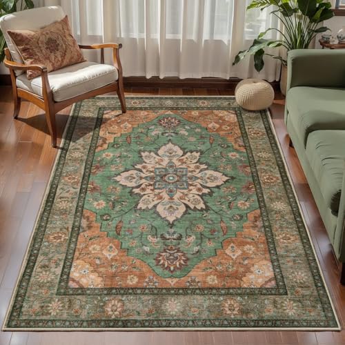 Tangsoo Farmhouse 3x5 Rugs, Washable Non Slip Accent Rugs for Entryway by Tangsoo