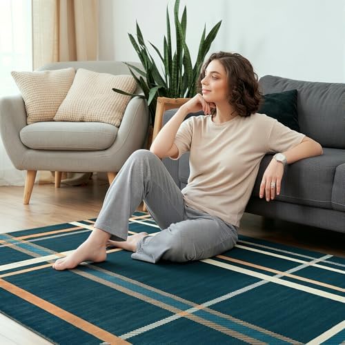 Terrug Blue Striped Checkered Rug for Living Room, 5x7 Washable Area Rugs - Image 4