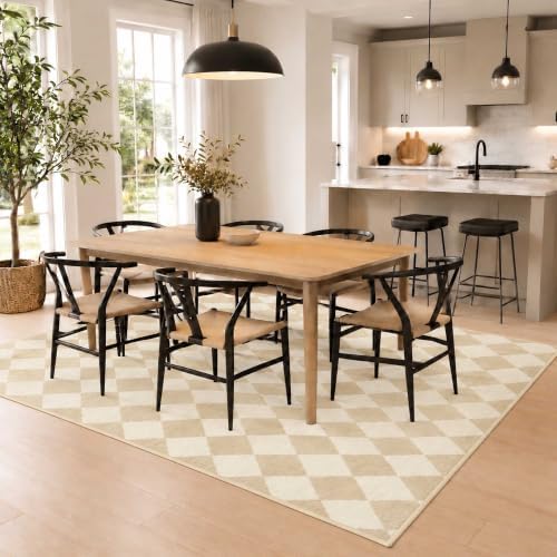 4x6 Checkered Area Rug for Living Room, Soft Low Pile Oat Rugs - Image 4