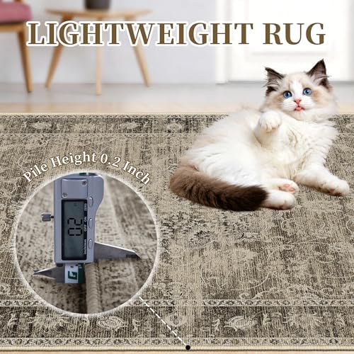 Brown 4x6 Entryway Rugs, Vintage Area Rug for Bedroom, Living Room - Image 6