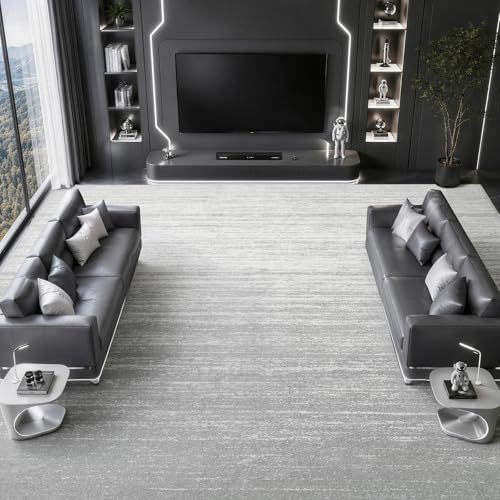 LIANLAM 8x10 Silver Infused Self-Cleaning Rug for Living Room (8x10,Silver) by LIANLAM