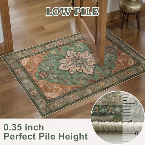 Tangsoo 2x5 Washable Runner Rug for Hallways, Vintage Non Slip Rug Runner - Image 3