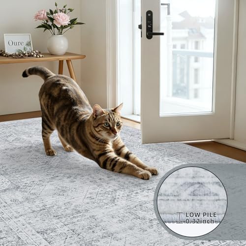 3x5 Area Rugs Living Room: Bedroom Neutral Washable Carpet Gray - Image 7