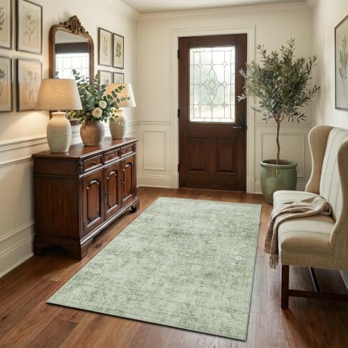 Homemate Washable Rug 3x5 Area Rugs - Vintage Rugs for Living Room by Homemate