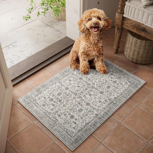 Washable Small Area Rugs for Entryway: 2x3 Door Mat Indoor Entrance by NoiFamo