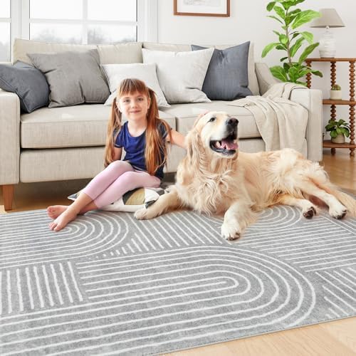 Lahome Area Rugs 5x7, Soft Washable Grey and White Rugs for Living Room - Image 5