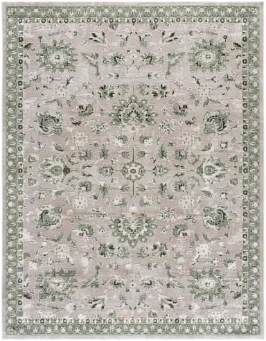 SAFAVIEH Parker Area Rug 8x10, Textured Large Ivory & Green PRK158D by Unknown