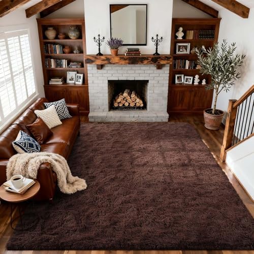 4x6 Ft Brown Shag Rugs for Bedroom Living Room, Ultra Soft Fluffy Furry Area Rug for Indoor Floor, Aesthetic Carpet for Home Decor by Cuzwlovita
