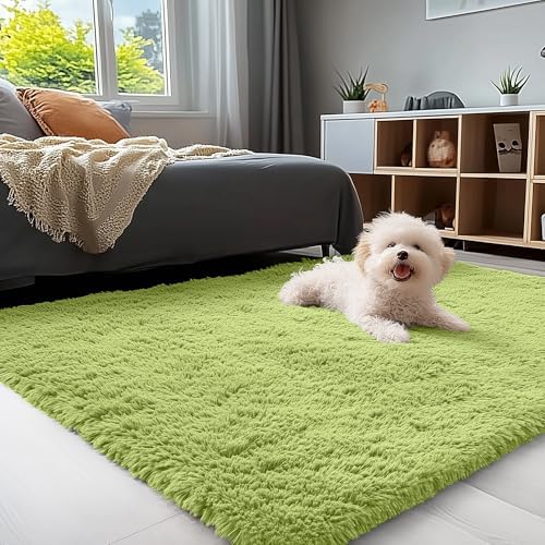 OLANLY 3x5 Machine Washable Small Bedside Rug, Soft Fluffy Shaggy Rugs for Living Room, Bedroom, Indoor Floor Carpet for Kids Girls and Boys, Preppy Dorms, Nursery, Home Decor Aesthetic, Grass Green by OLANLY