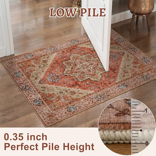 Tangsoo 5x7 Washable Area Rugs for Living Room, Vintage Indoor Non Slip Rug - Image 5